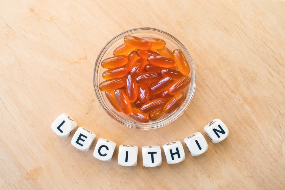Lecithin — The “Vascular Cleaner”