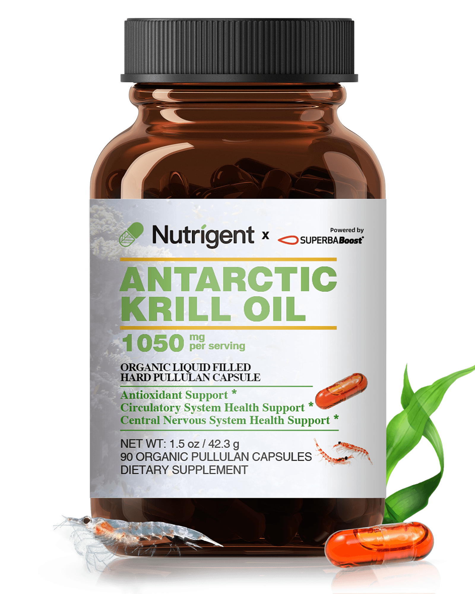 Antarctic Krill Oil