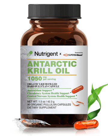 Antarctic Krill Oil