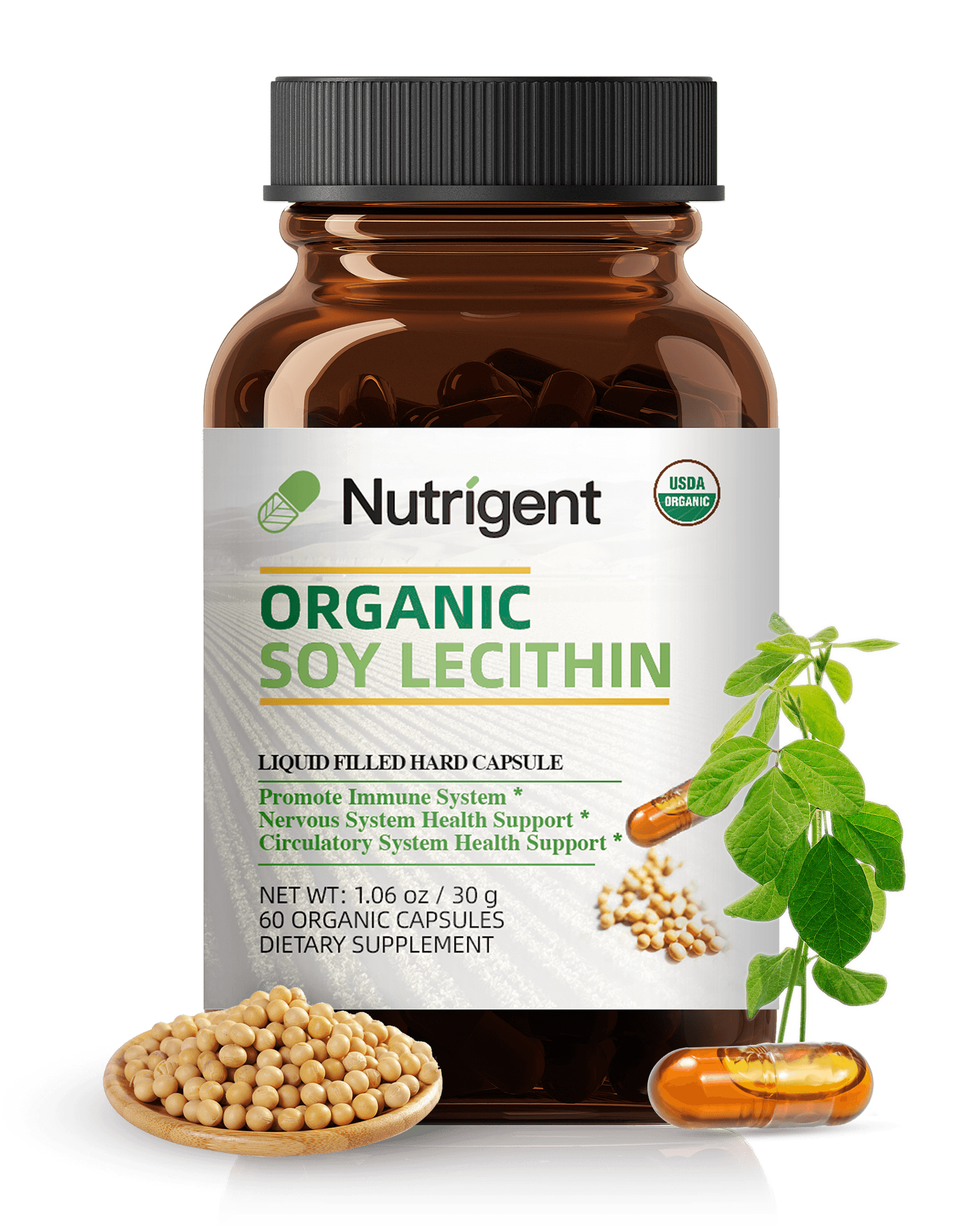 Organic Soy Lecithin