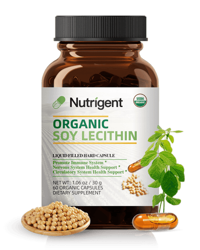 Organic Soy Lecithin
