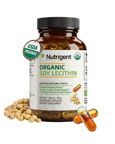 Organic Soy Lecithin